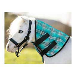 Mini Horse Protective Neck Cover  Kensington